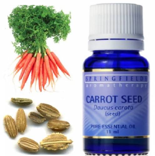 ESSENTIAL OIL  CARROT SEED